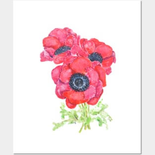 red anemones Posters and Art